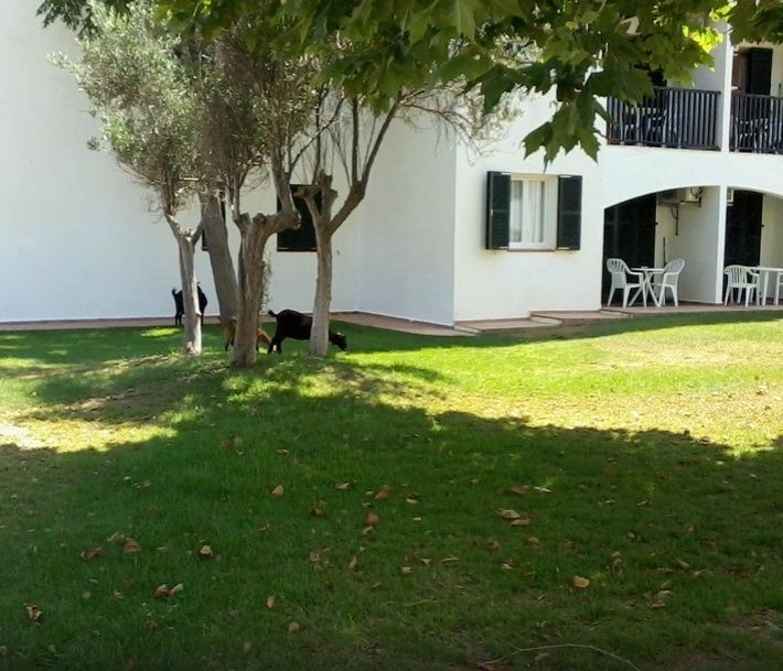 Seth Sa Mirada Aparthotel Arenal d'en Castell Bagian luar foto